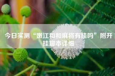 今日实测“嫩江和和麻将有挂吗”附开挂脚本详细