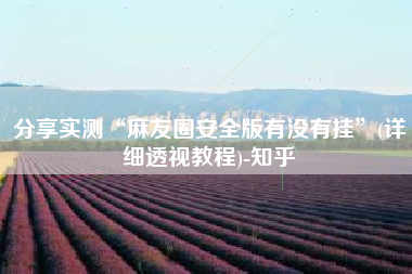 分享实测“麻友圈安全版有没有挂”(详细透视教程)-知乎