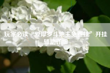 玩家必读“爱摩罗斗地主免费挂	”开挂辅助详细