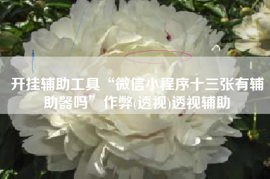 开挂辅助工具“微信小程序十三张有辅助器吗”作弊(透视)透视辅助