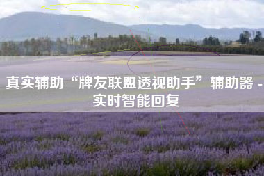 真实辅助“牌友联盟透视助手”辅助器 - 实时智能回复