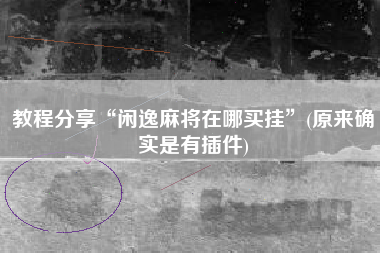 教程分享“闲逸麻将在哪买挂”(原来确实是有插件)