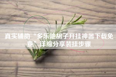 真实辅助“多乐跑胡子开挂神器下载免费”详细分享装挂步骤