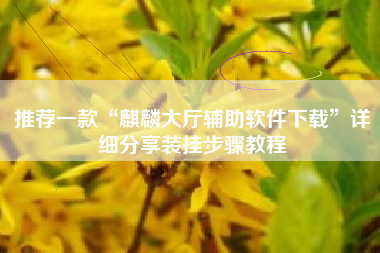 推荐一款“麒麟大厅辅助软件下载”详细分享装挂步骤教程