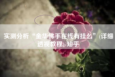 实测分析“金华佛手在线有挂么	”(详细透视教程)-知乎