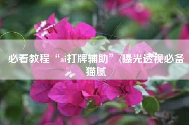 必看教程“ai打牌辅助”(曝光透视必备猫腻