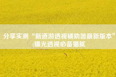 分享实测“新道游透视辅助器最新版本”(曝光透视必备猫腻