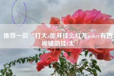 推荐一款“打大a能开挂么红龙poker有透视辅助挂(太