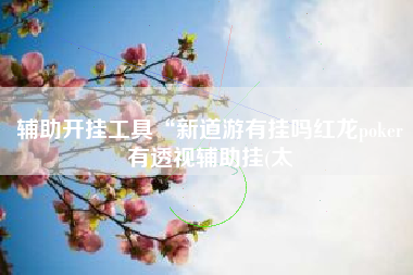 辅助开挂工具“新道游有挂吗红龙poker有透视辅助挂(太