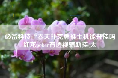 必备科技“春天扑克牌推土机能开挂吗红龙poker有透视辅助挂(太