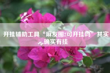 开挂辅助工具“麻友圈2可开挂吗”其实确实有挂