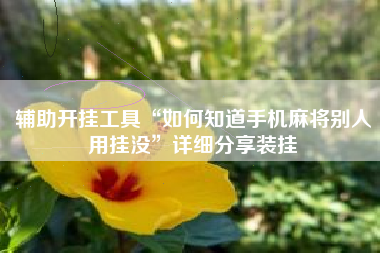 辅助开挂工具“如何知道手机麻将别人用挂没	”详细分享装挂