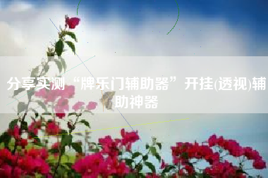 分享实测“牌乐门辅助器	”开挂(透视)辅助神器