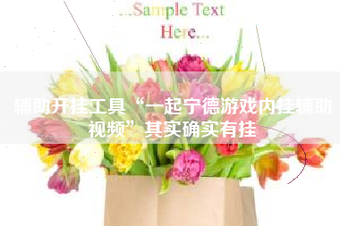 辅助开挂工具“一起宁德游戏内挂辅助视频”其实确实有挂