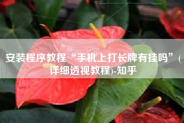 安装程序教程“手机上打长牌有挂吗”(详细透视教程)-知乎