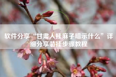 软件分享“甘肃人挂麻子暗示什么	”详细分享装挂步骤教程