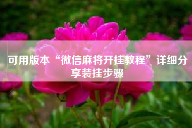 可用版本“微信麻将开挂教程”详细分享装挂步骤